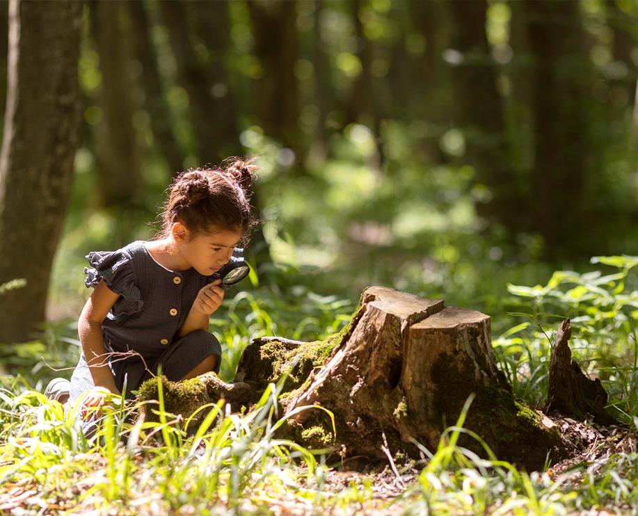 Young forest. Квест дети бренд. Куда пойти с детьми в дождь.